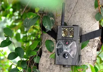 Photographing Gibbons In The Wild Using An Onick Infrared Camera